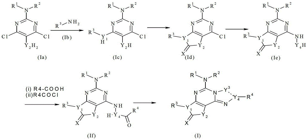 Fused tricyclic compounds as adenosine receptor antagonists