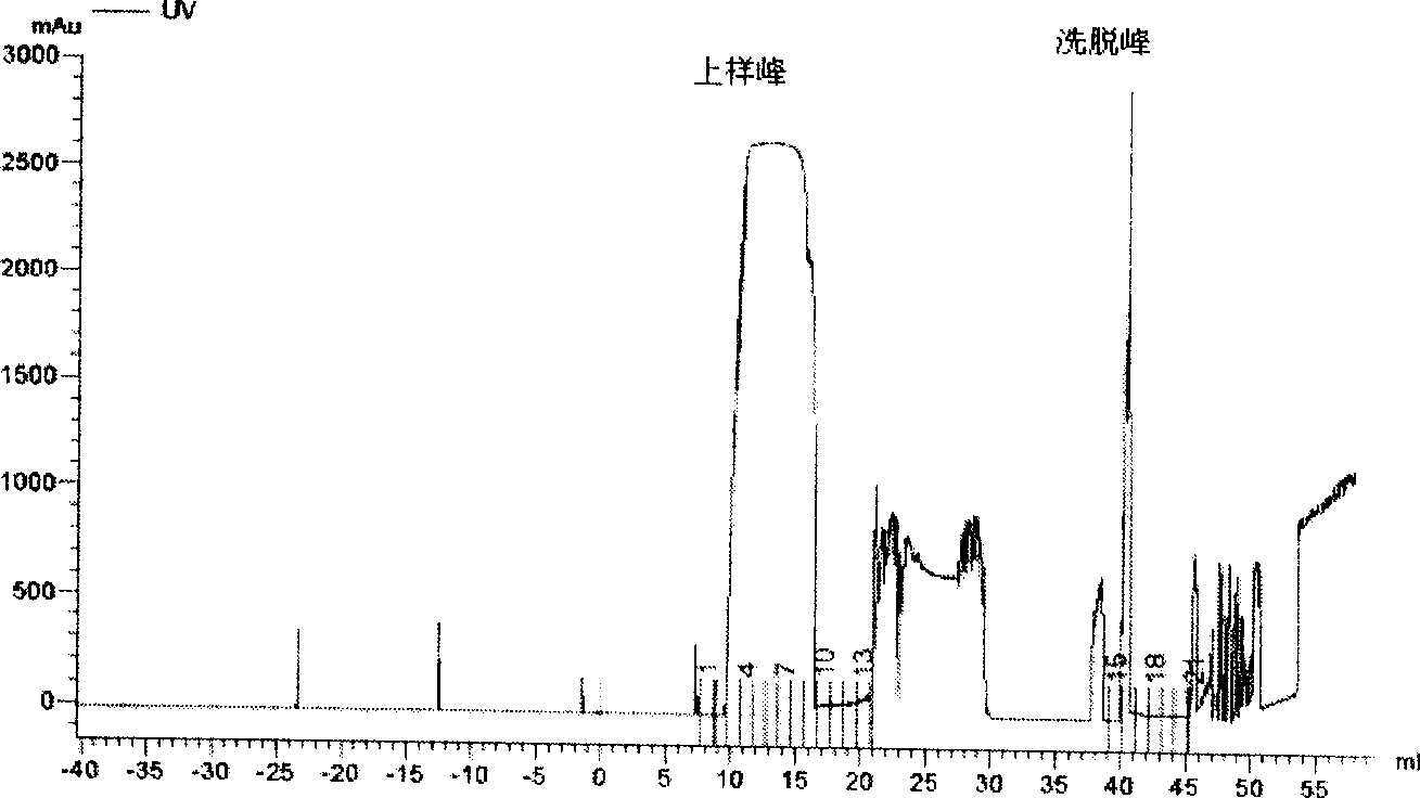 Purification process and application of antigen capable of being used in diagnosis of multiple myitis/dermatomyositis