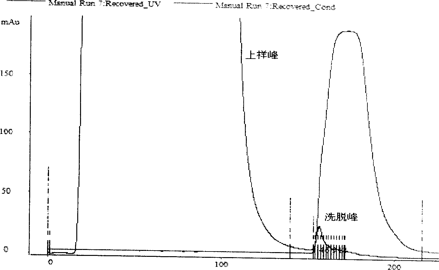 Purification process and application of antigen capable of being used in diagnosis of multiple myitis/dermatomyositis