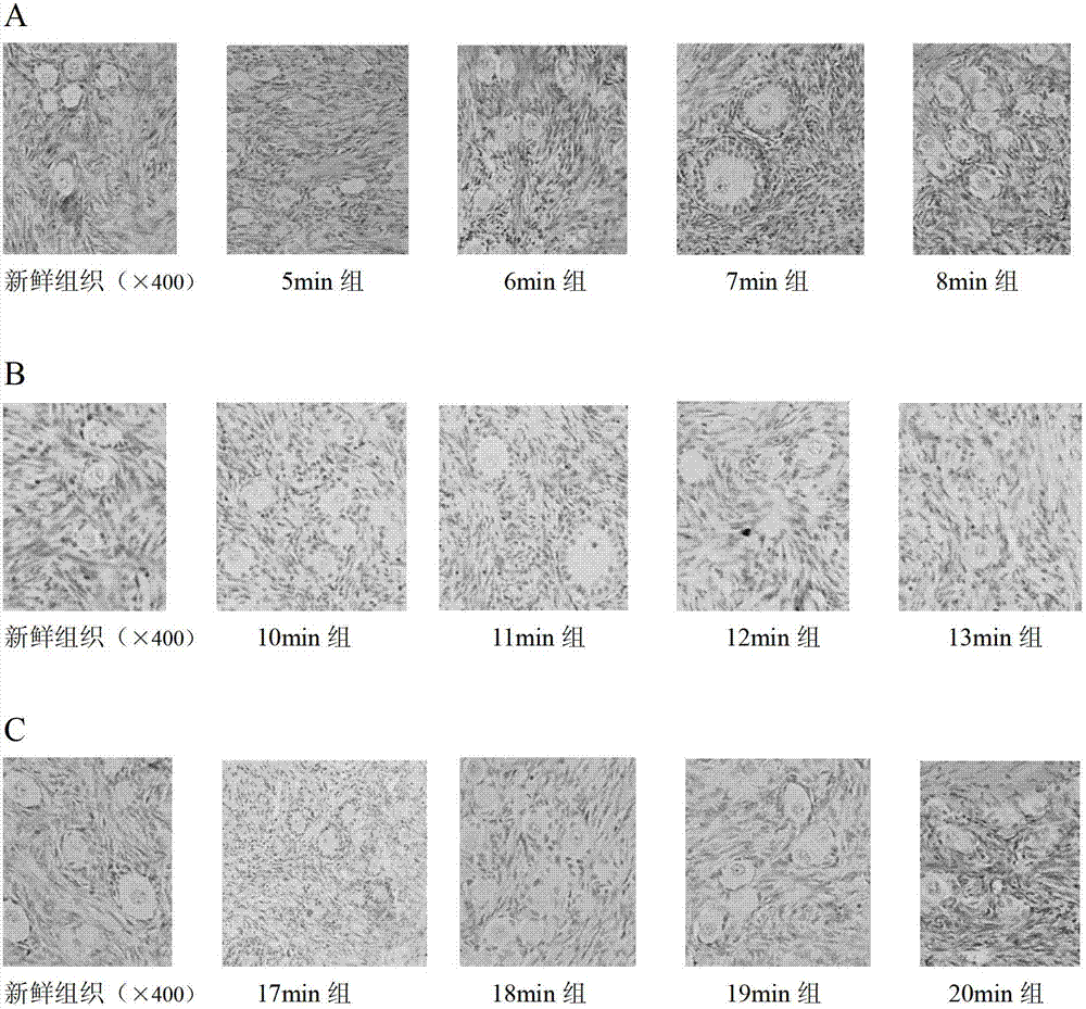 Ovarian large cortex piece vitrified cryopreservation protection liquid and cryopreservation method thereof