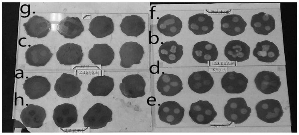 Mout-spited betel nut juice cleaning composition and preparation method thereof