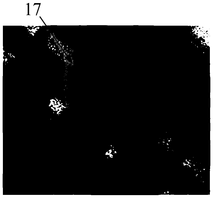 Interconnect structure and method of forming the same