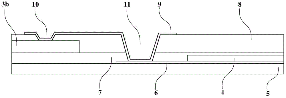 Array substrate, display panel, and manufacturing method of array substrate