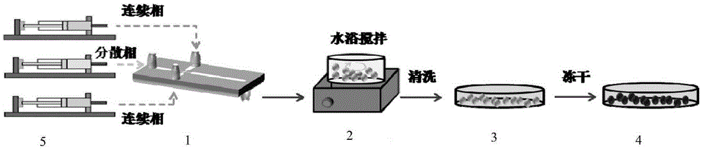 Polyethyleneimine-chitosan adsorbent one-step synthesis method