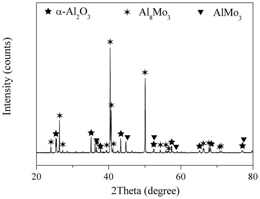 A kind of anti-ablation and anti-corrosion protective coating on the surface of molybdenum metal core and its preparation method