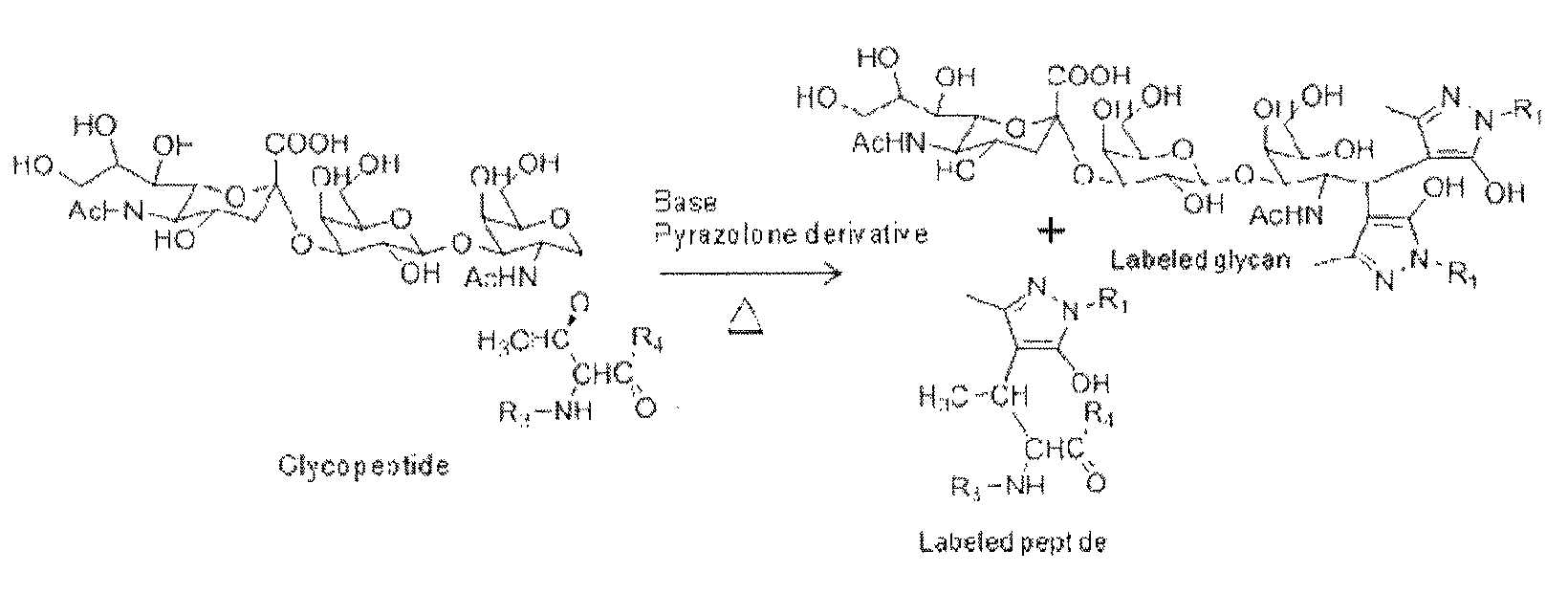 Labeling agent for analyzing post-translational modifications of serine and threonine