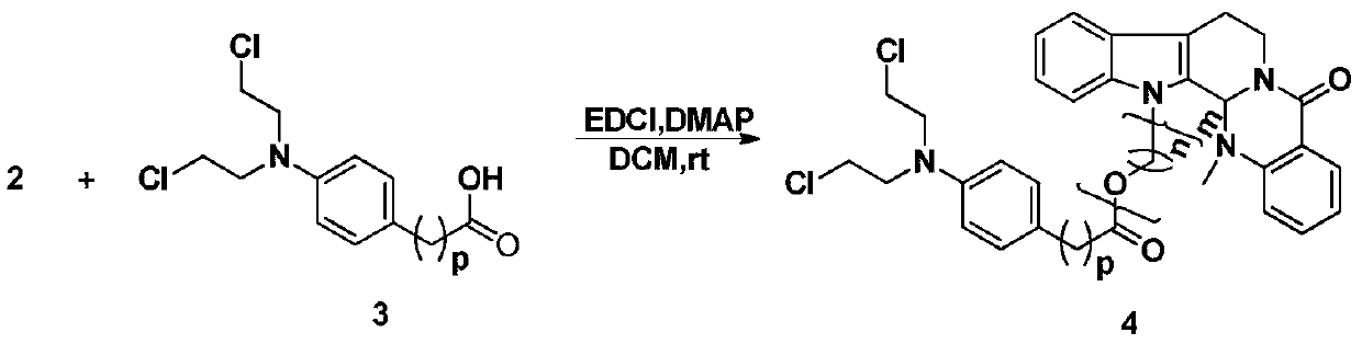 Preparation method and application of a class of evodiamine and nitrogen mustard derivatives with antitumor activity