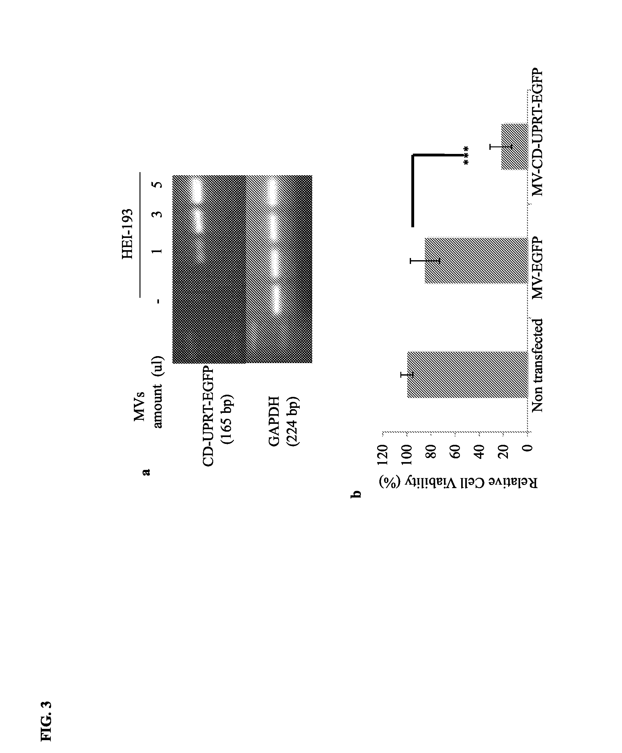 Microvesicle-mediated delivery of therapeutic molecules