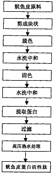 Preparation method of squid skin protein active peptide