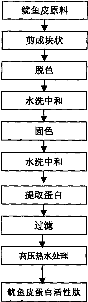 Preparation method of squid skin protein active peptide