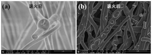 Pod-shaped MoS2-SnO2 magnesium-lithium hybrid ion battery positive electrode material as well as synthesis method and application thereof