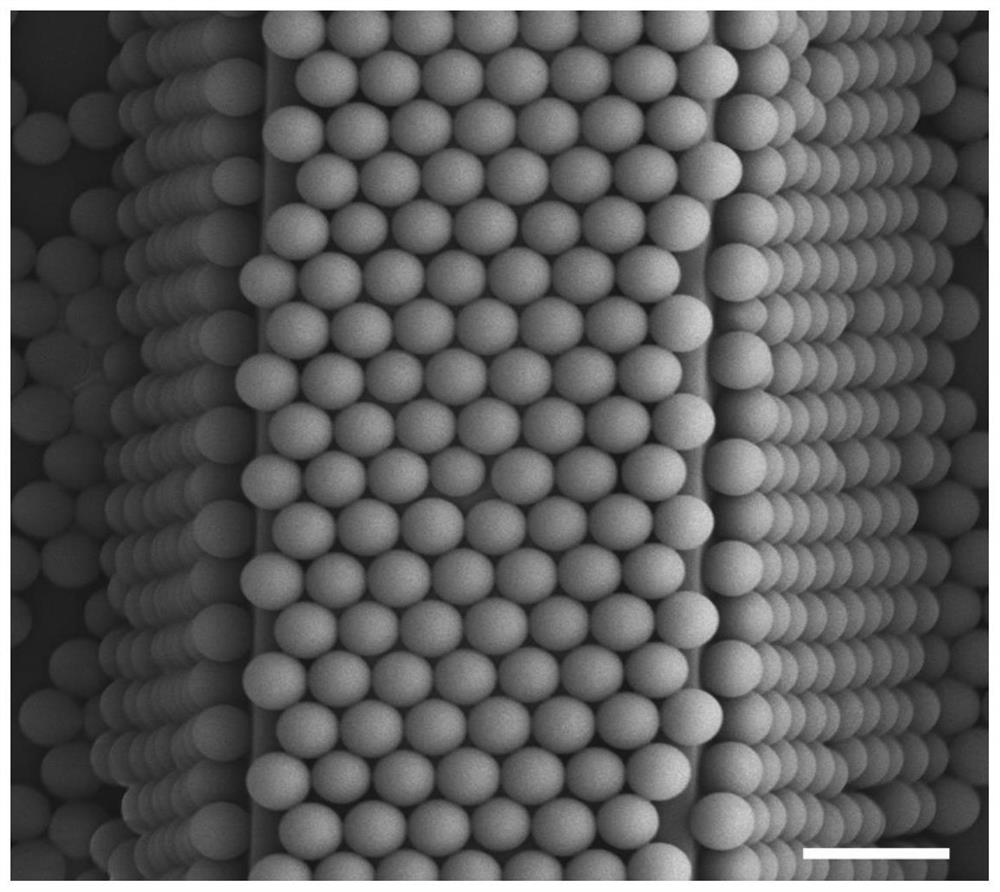 Large-area patterned micro-nano particle self-assembly structure and preparation method thereof