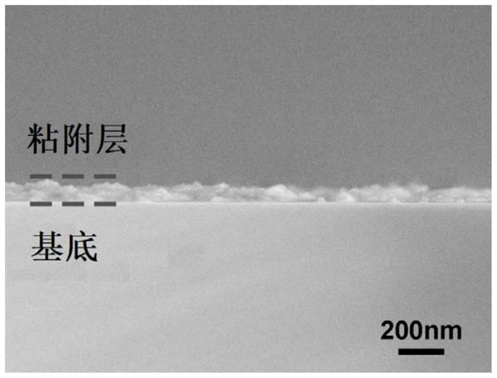 Large-area patterned micro-nano particle self-assembly structure and preparation method thereof