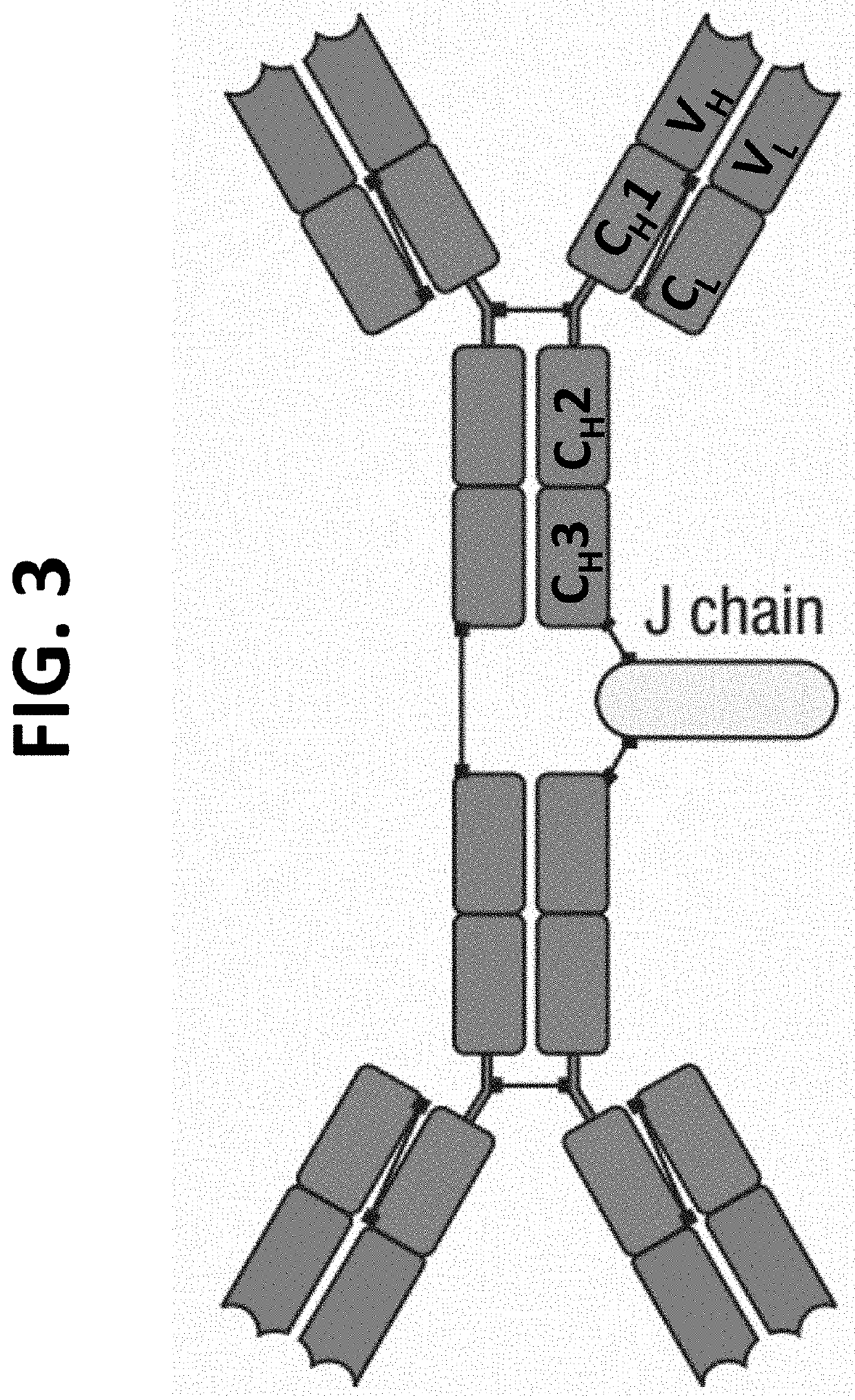 Episomal Expression of Potent Immunoglobulins Derived from Human Blood or Convalescent Plasma to Enable Short term Vaccination / Immunization to COVID, COVID-19 and Mutants and Other Pandemic and non-Pandemic Viruses designed from Rapid FDA approval.