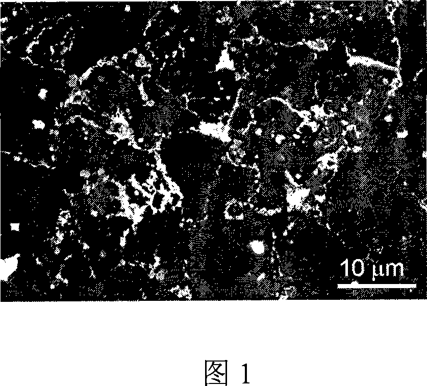 A reset compound Mg-Si-Sn base thermal electric material and its making method