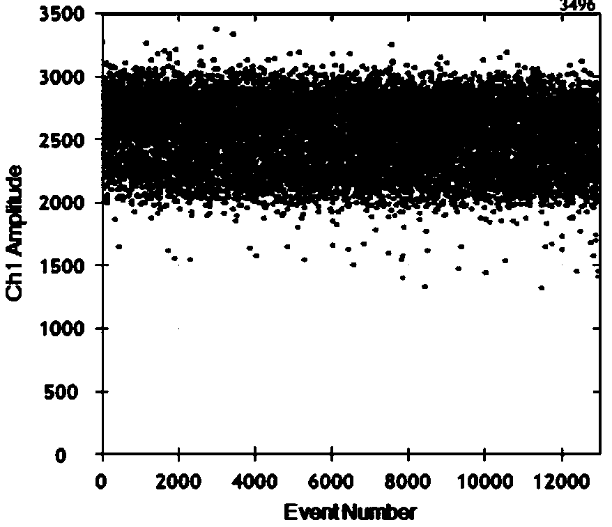 Detecting system and kit for detecting BRAF gene mutation