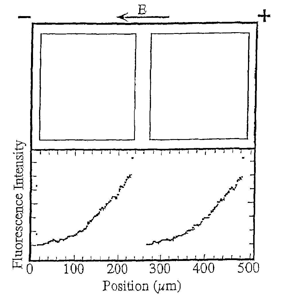 Membrane-based assays