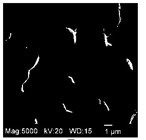 Preparation method of (Mn, Co)3O4 spinel coating