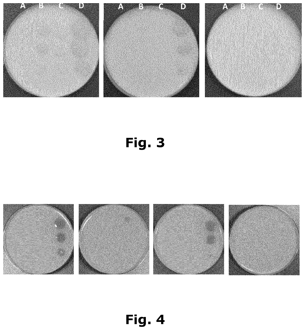 Lactobacillus rhamnosus with increased diacetyl production