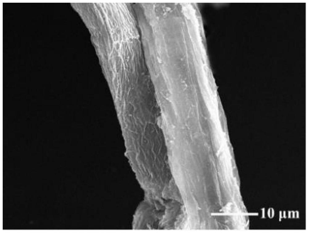 Metalloporphyrin terephthalate photo-thermal cellulose as well as preparation method and application thereof