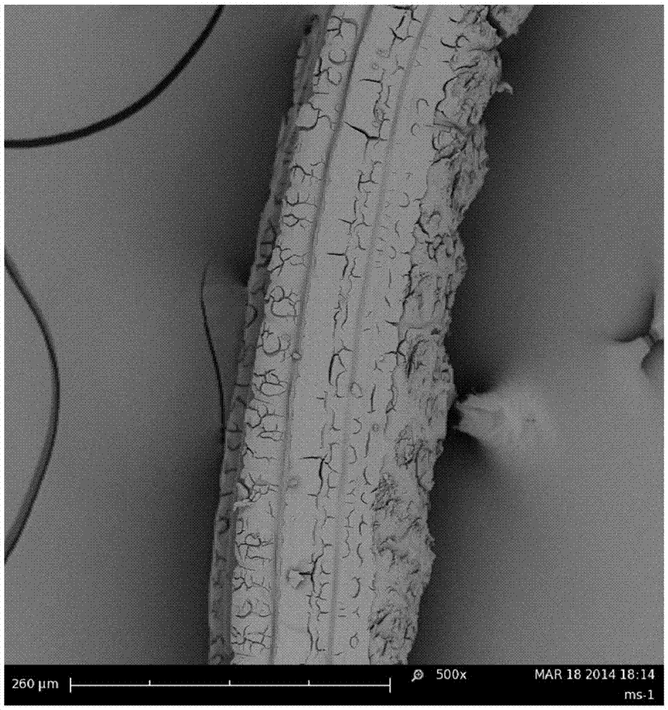 Preparation method of tough SiO2 aerogel fibers post-processed through isocyanate