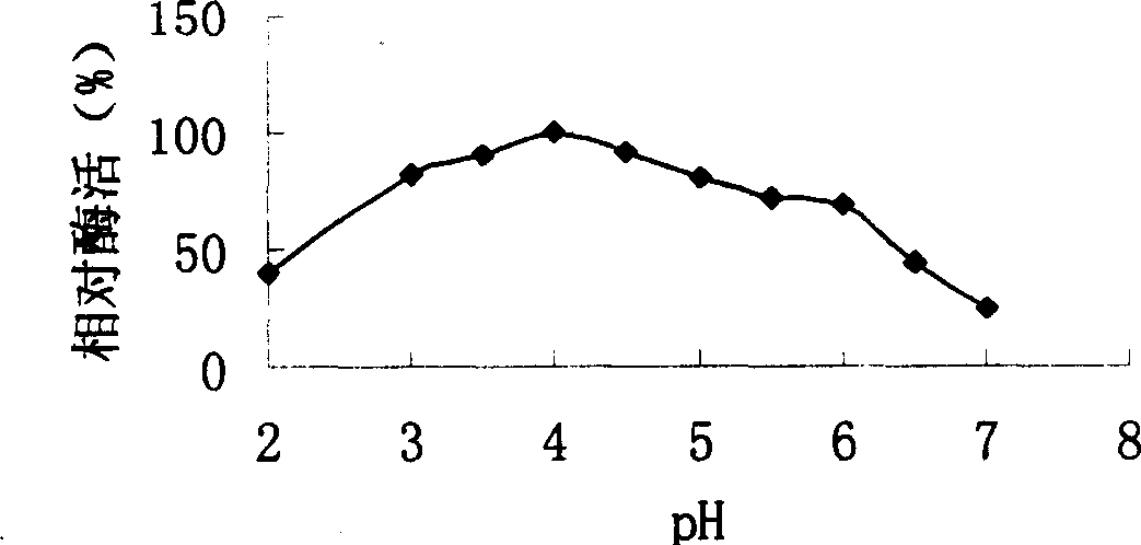 Prolan enzyme bacterial and preparation process