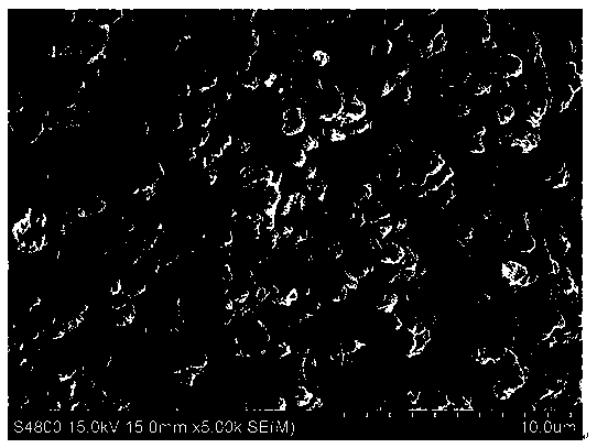 A kind of preparation method of magnetic silver phosphate