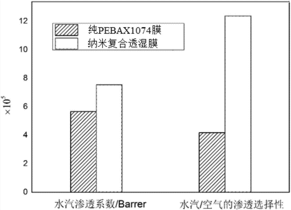 Nano composite moisture-permeable film and preparation method and application thereof