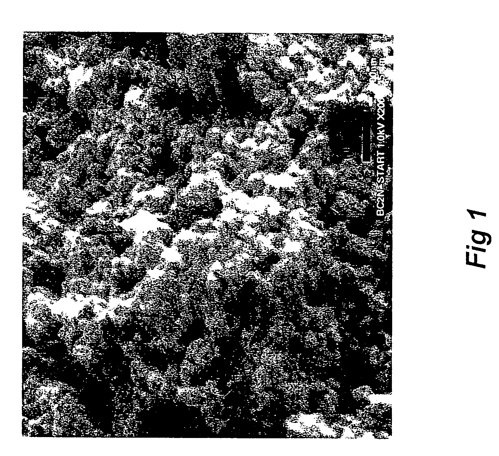 Preparation of bulk superhard B-C-N nanocomposite compact