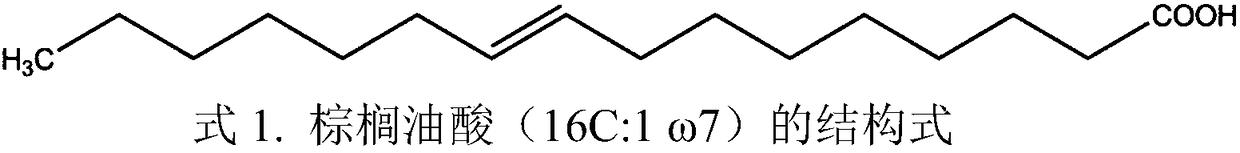 Method for producing palmitoleic acid from Eustigmatophyceae microalgae