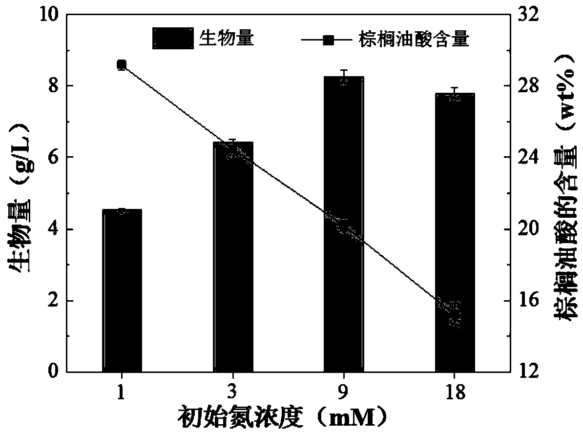 Method for producing palmitoleic acid from Eustigmatophyceae microalgae