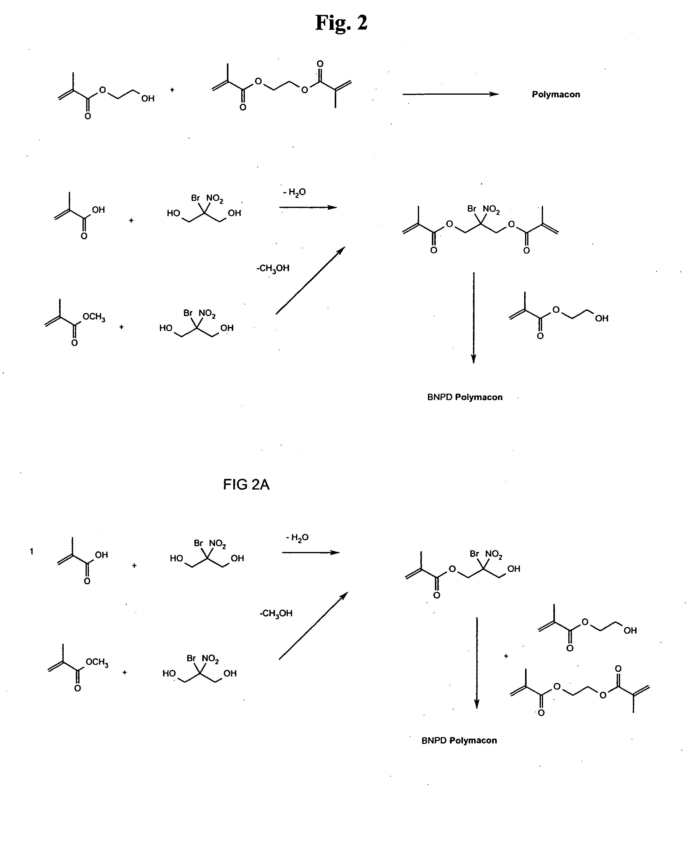 Polymers with antimicrobial, bioresistant and fungal resistant properties