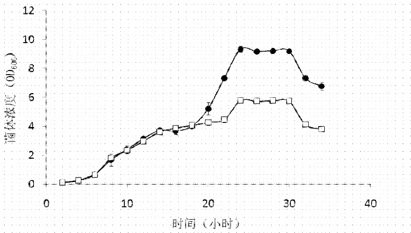 Preparation method of mutant of double-carbonyl reductase containing D-amino acid