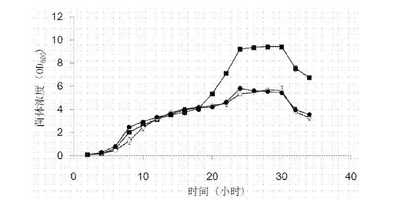 Preparation method of mutant of double-carbonyl reductase containing D-amino acid