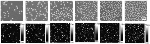 Method for preparing nanoscale polymer brush array through gold nanoparticles