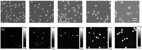 Method for preparing nanoscale polymer brush array through gold nanoparticles