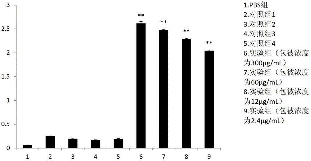 scfv antibody, encoding gene thereof and application thereof to preparation of preparation for treating or preventing infectious bursal disease