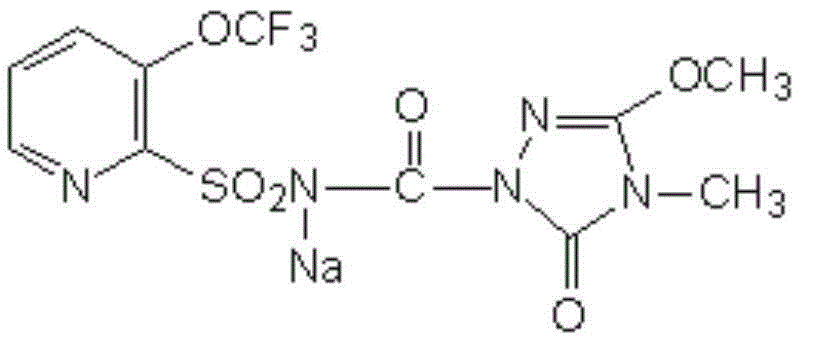 Weeding composition containing clodinafop-propargyl and flucarbazone-sodium and application of weeding composition