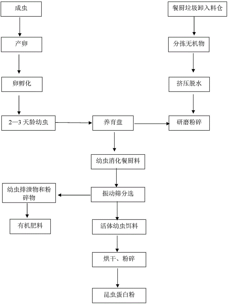 Biological treatment process of kitchen waste