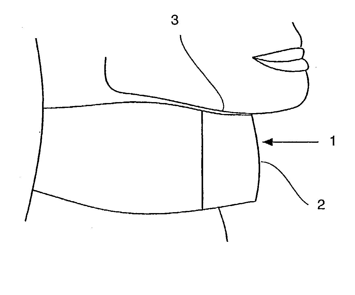 Apparatus and method for exercising and monitoring the performance of the upper flexor muscles of the neck