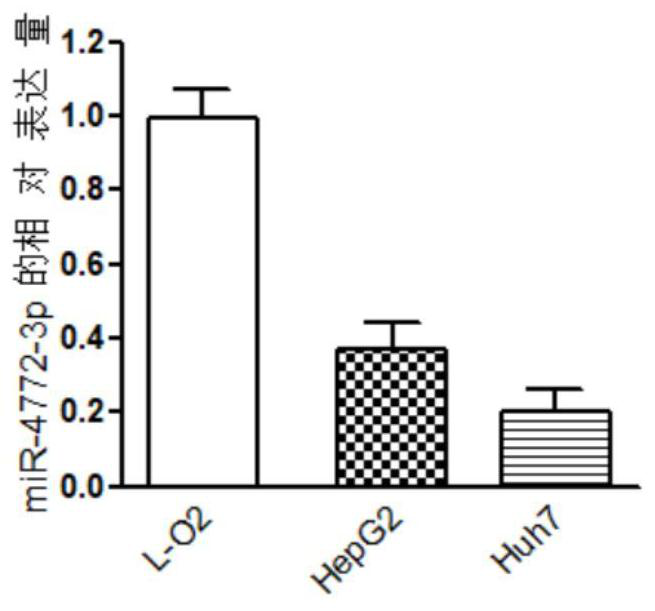 miRNAs for the diagnosis and treatment of hepatocellular carcinoma