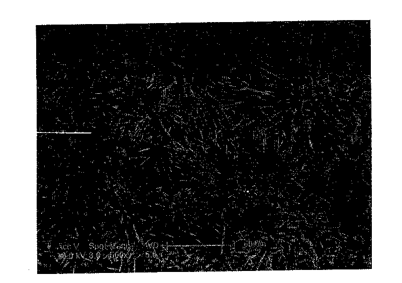 Ternary oxide nano material, ternary oxide nano structure and preparation method thereof