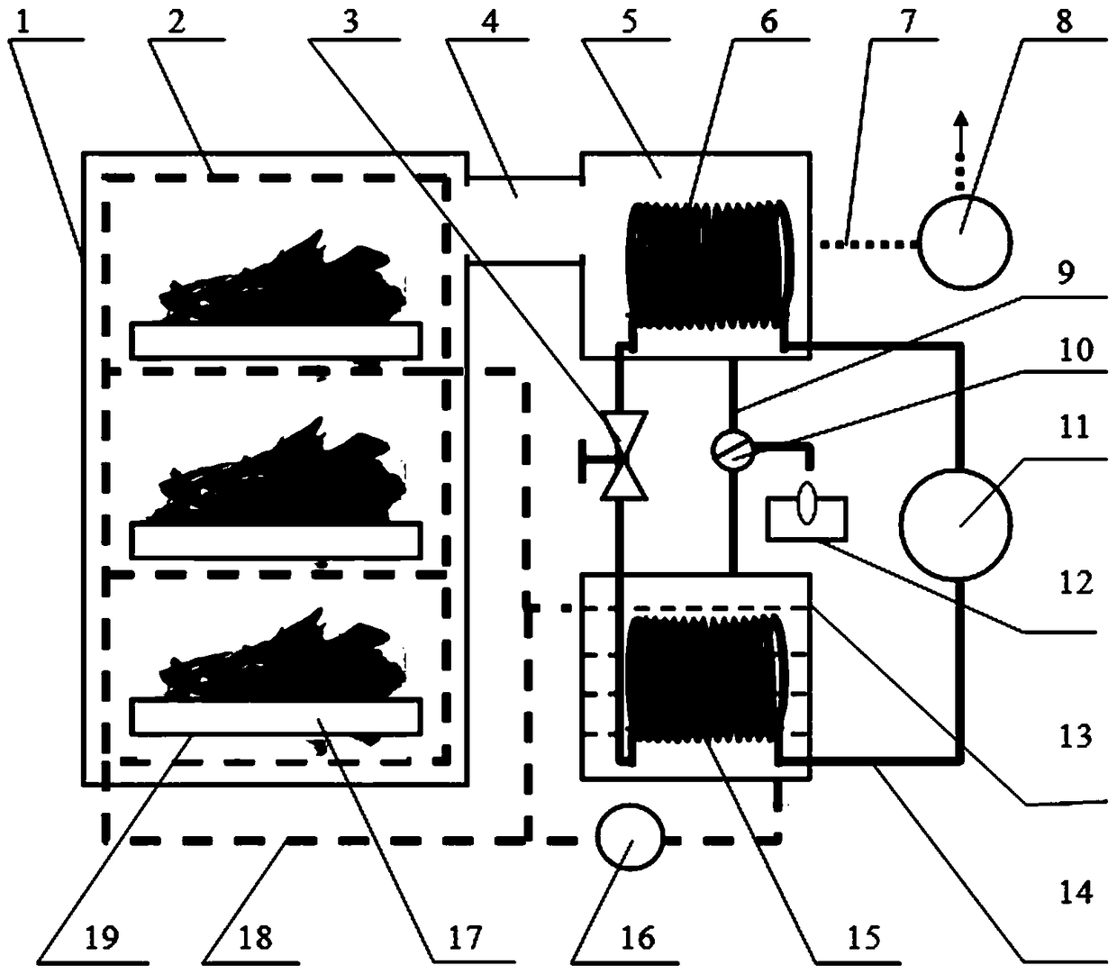 Leafy vegetable vacuum dehydrating precooling device and precooling method