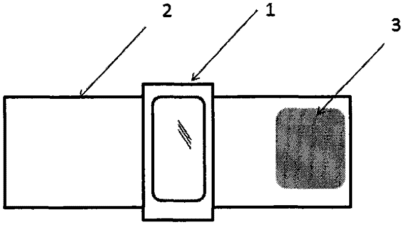 Handheld neurologic function evaluation device