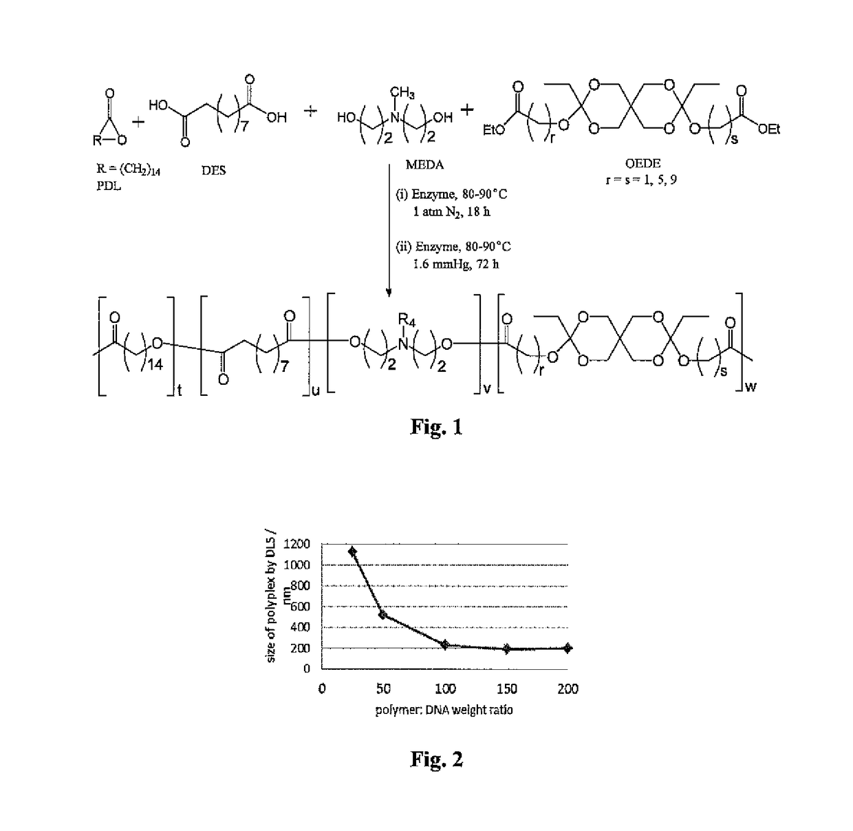 Formulations for targeted release of agents to low pH tissue environments or cellular compartments and methods of use thereof