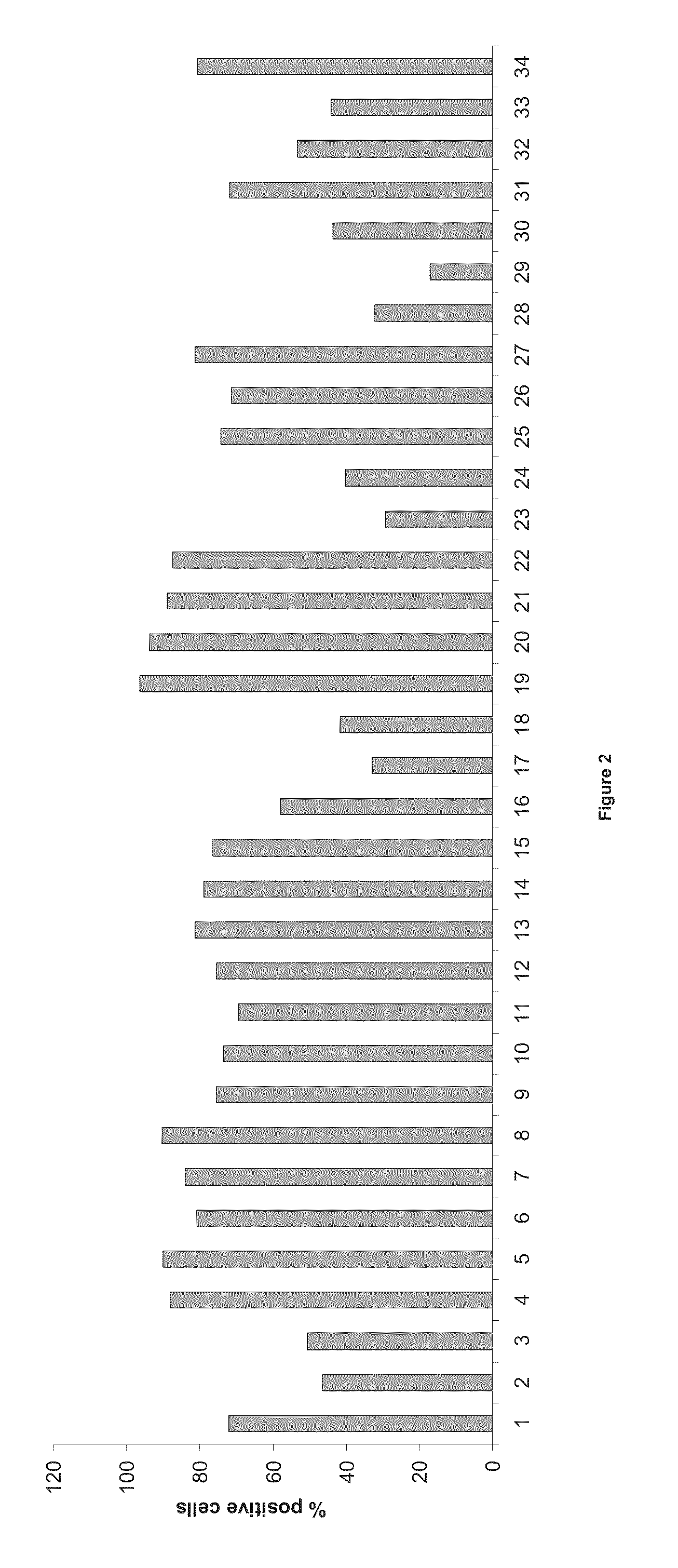 Methods for the diagnosis, treatment and monitoring of cancer