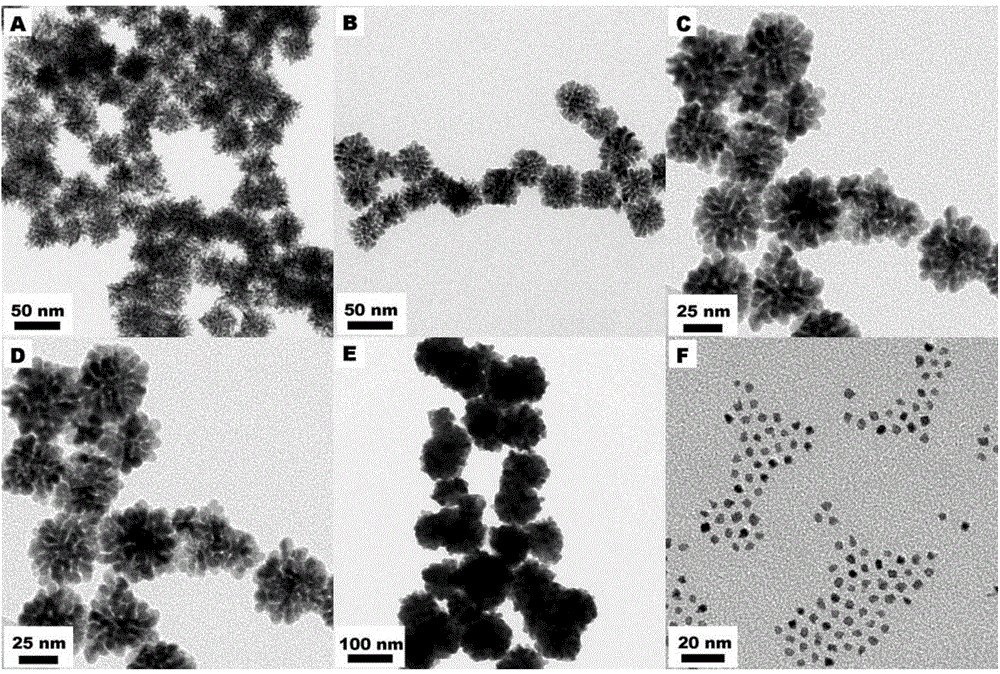 Dendritic platinum-palladium alloy nanometer catalyst as well as preparation method and application thereof