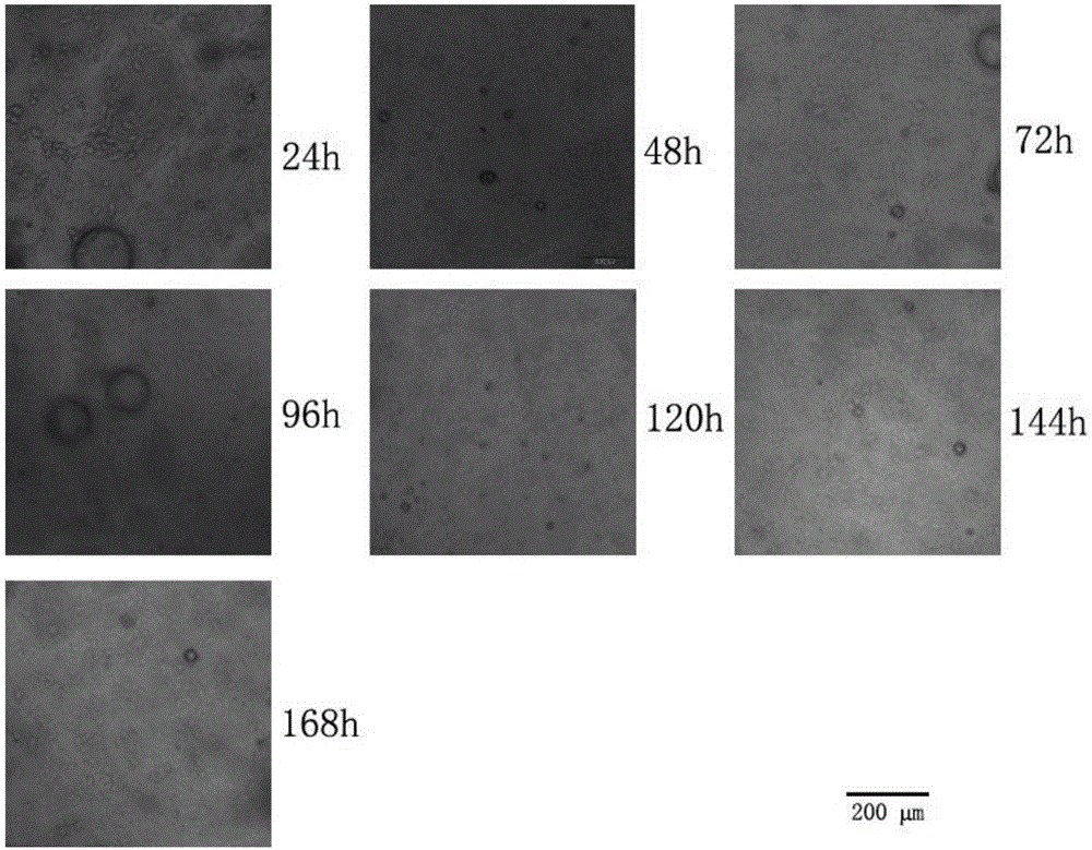 Microfluidic chip used for cell co-culture and cell culture method thereof