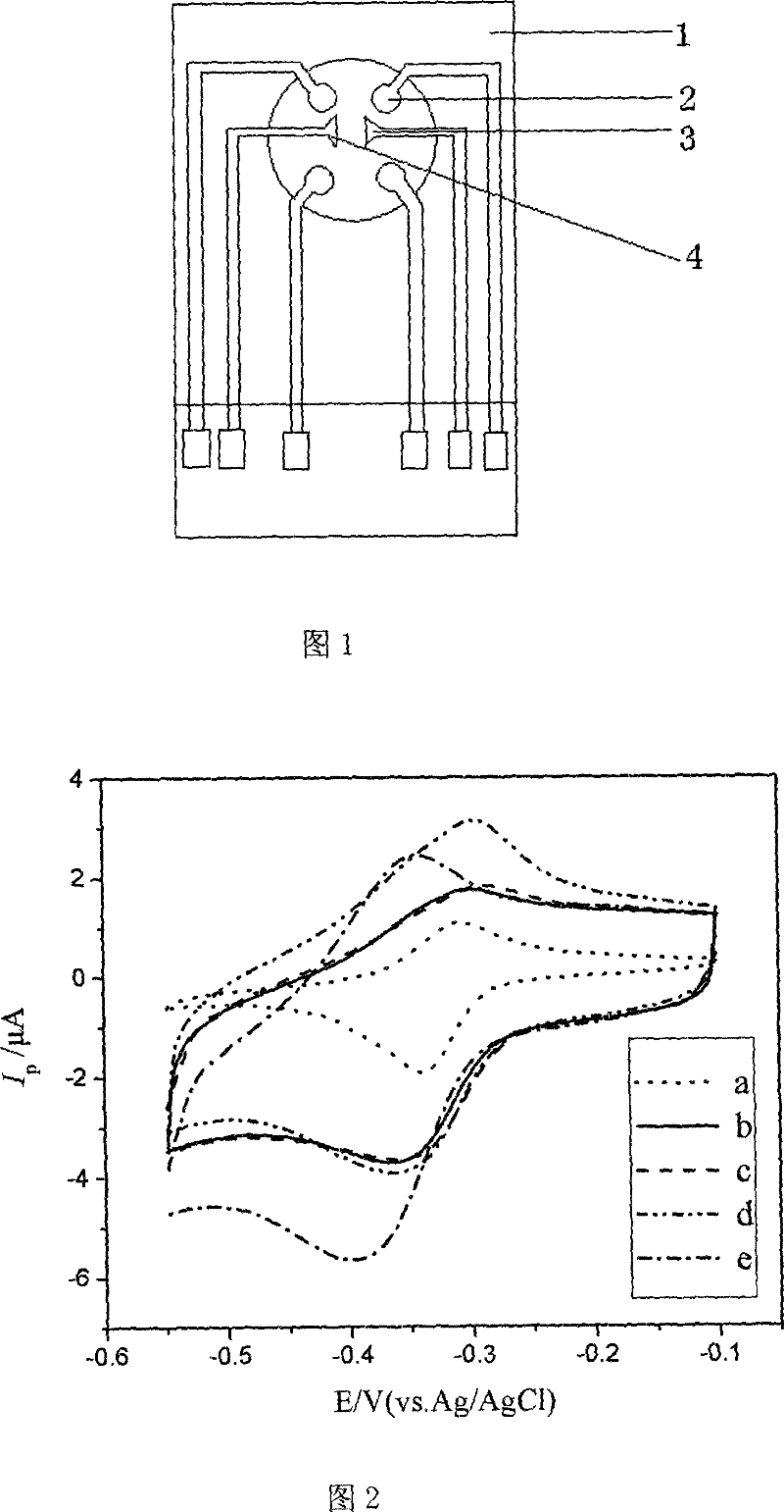 Device for detecting avian influenza virus antibody and detection method