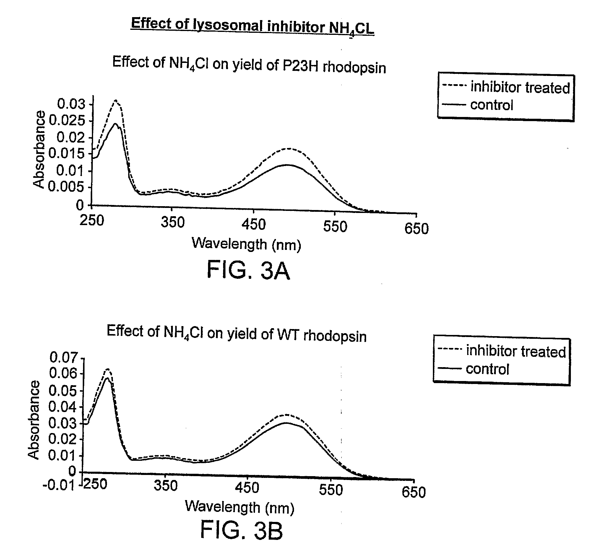 Small Compounds That Correct Protein Misfolding and Uses Thereof